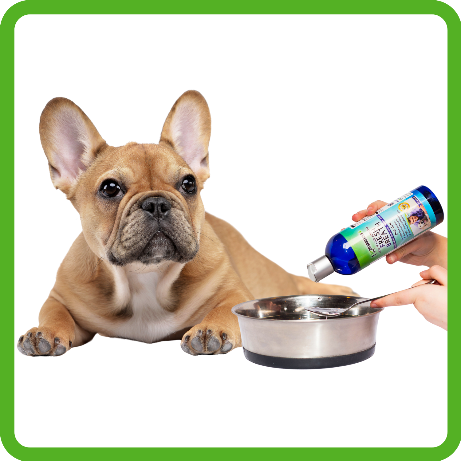 Dog Breath Freshener Water Additive — Vet